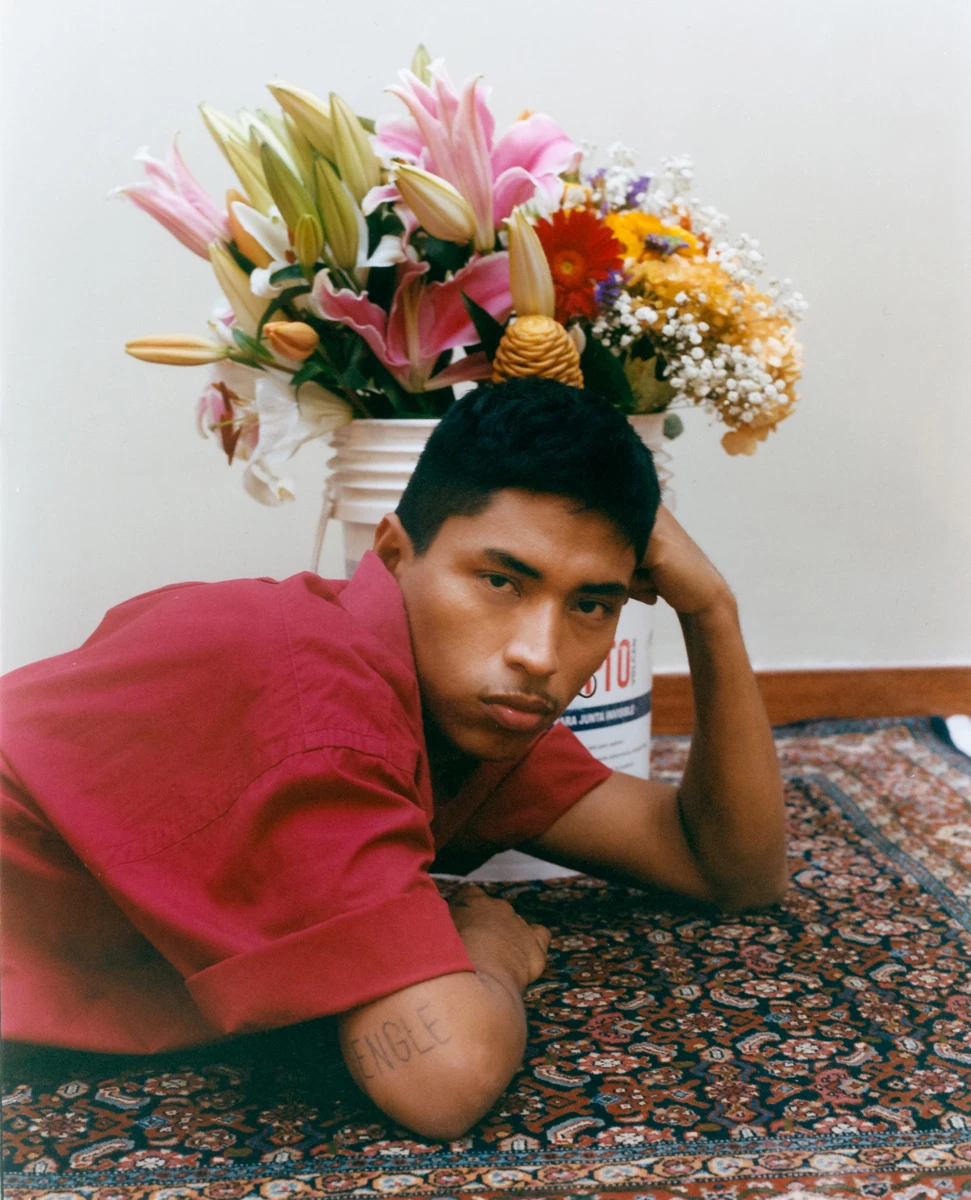 Cette photographie est une photographie de mode et de reportage photographiée par le photographe Raul Guillermo. Raul Guillermo est un photographe péruvien basé à Paris et représenté par l’agent artistique Antigny Agency. Cette photographie représente un jeune homme avec un bouquet de fleurs. Tout le travail photographie de cette photographie est sur le travail de la couleur et de la lumière. Les couleurs sont très fortes.